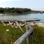 Lu Palummaru *