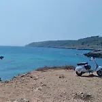Lu Palummaru Palmariggi