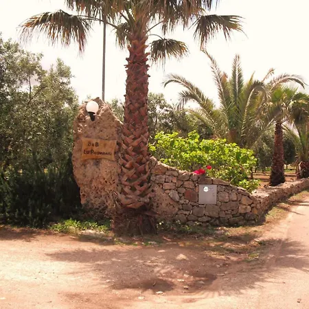 Lu Palummaru *