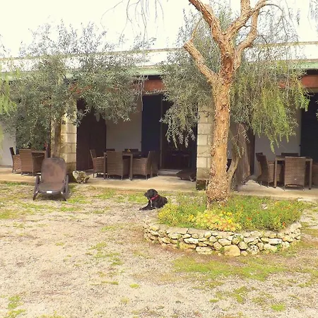 Lu Palummaru * Palmariggi