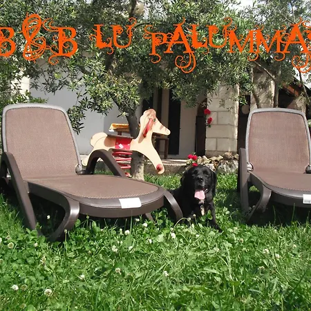 Διαμέρισμα Lu Palummaru