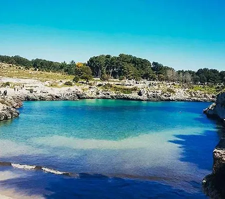 Lu Palummaru Palmariggi