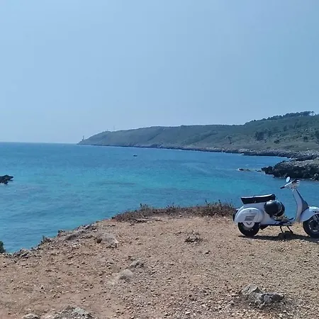 Lu Palummaru Palmariggi