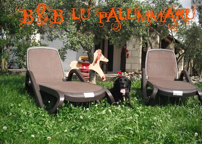 דירה Lu Palummaru