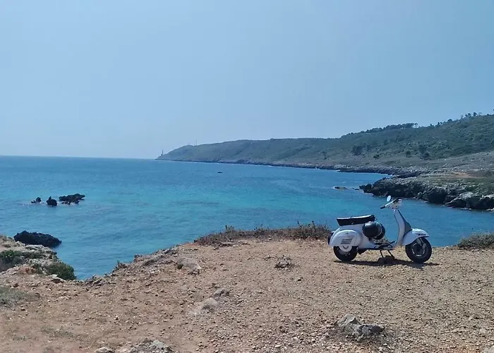 Lu Palummaru Palmariggi